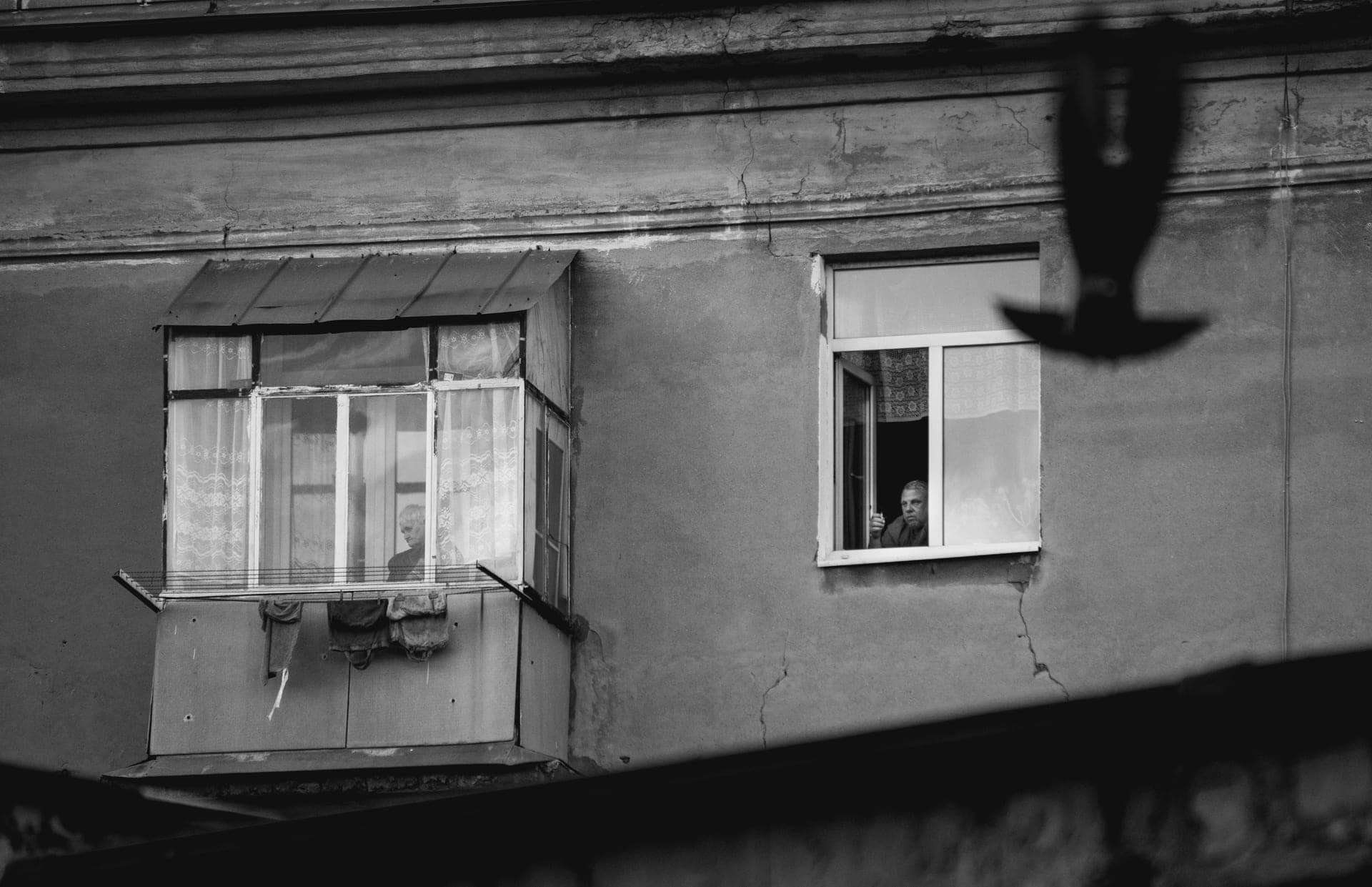 A person watching garden birds through a window