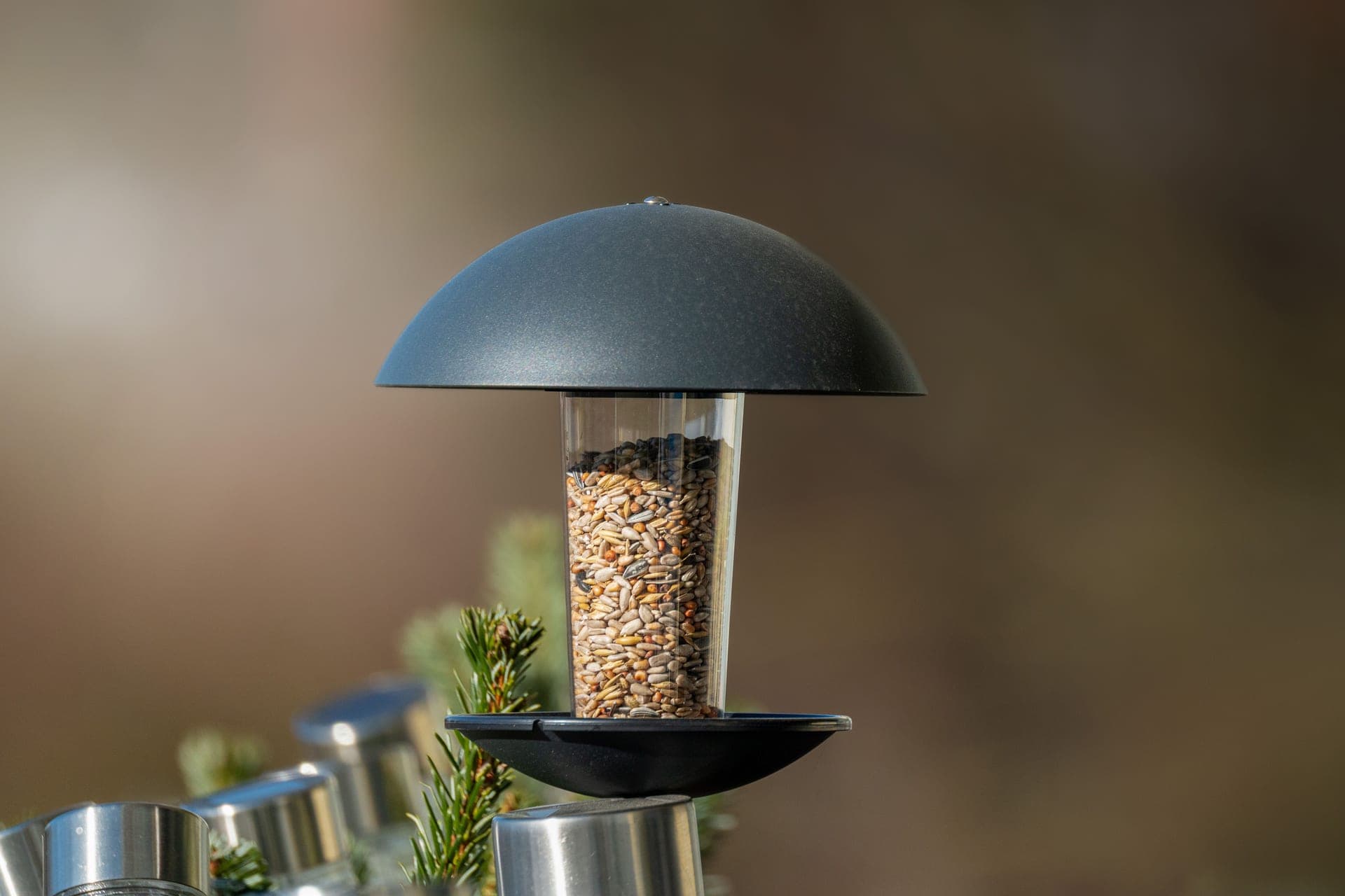 A bird feeder mounted on a metal pole in a garden