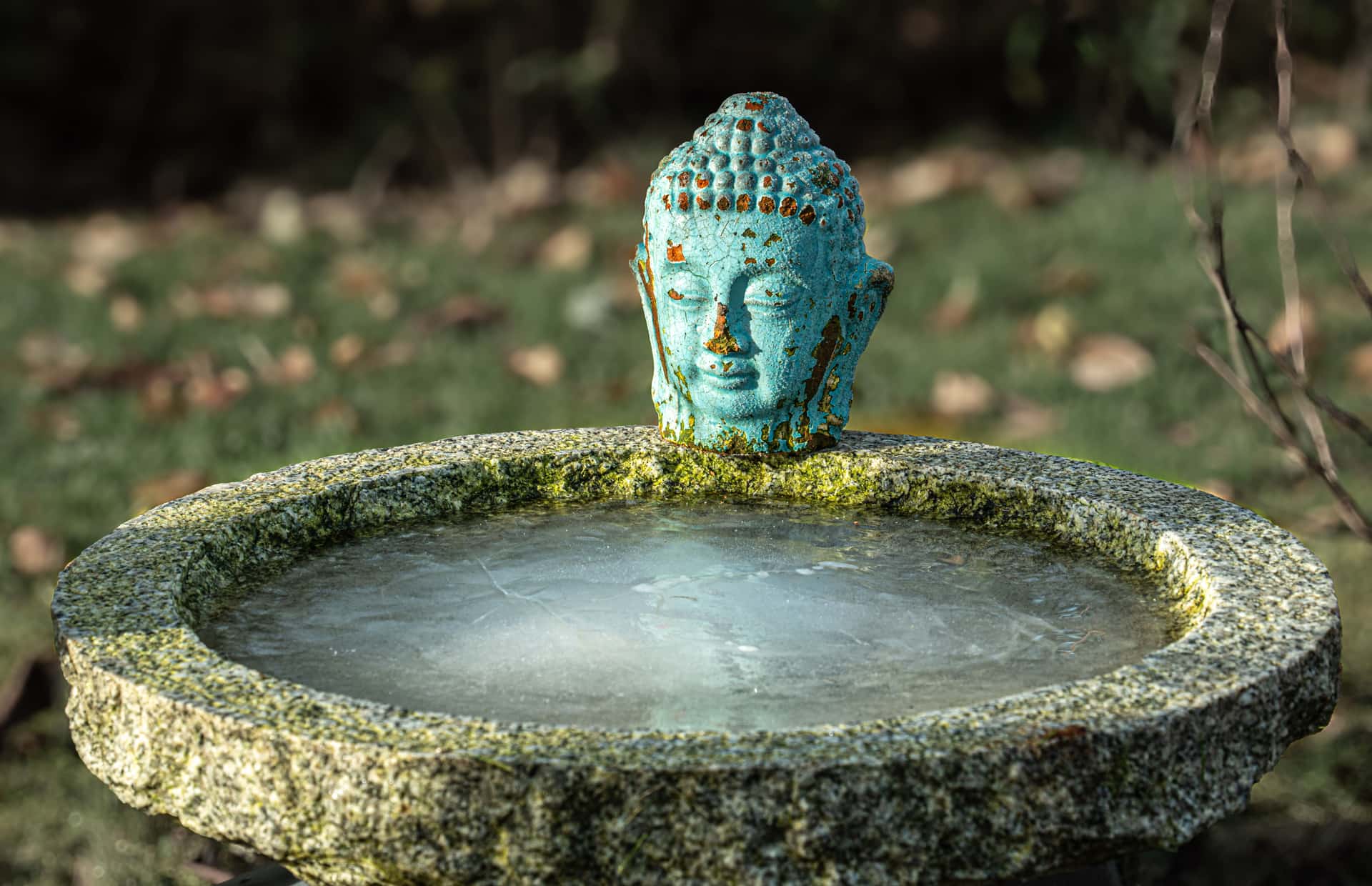 A frozen bird bath in a winter garden
