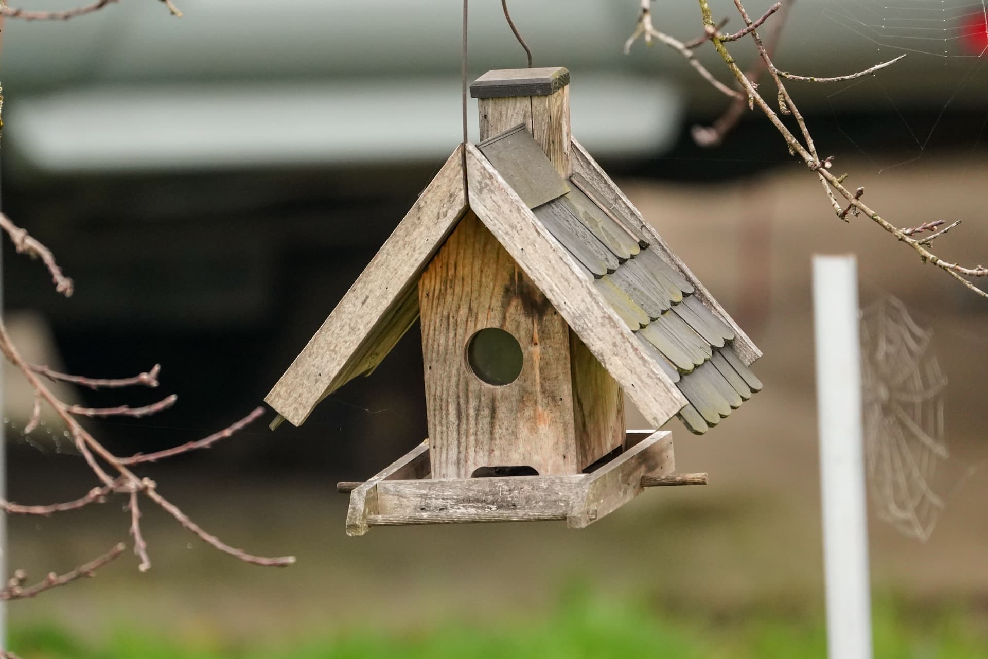 Close-up of the entrance hole on a wooden nest box