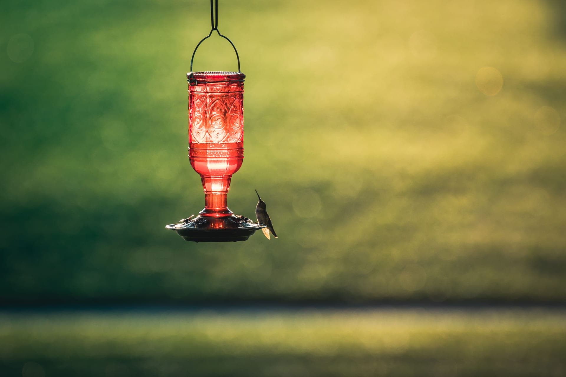 A hummingbird feeder hanging on a shaded porch