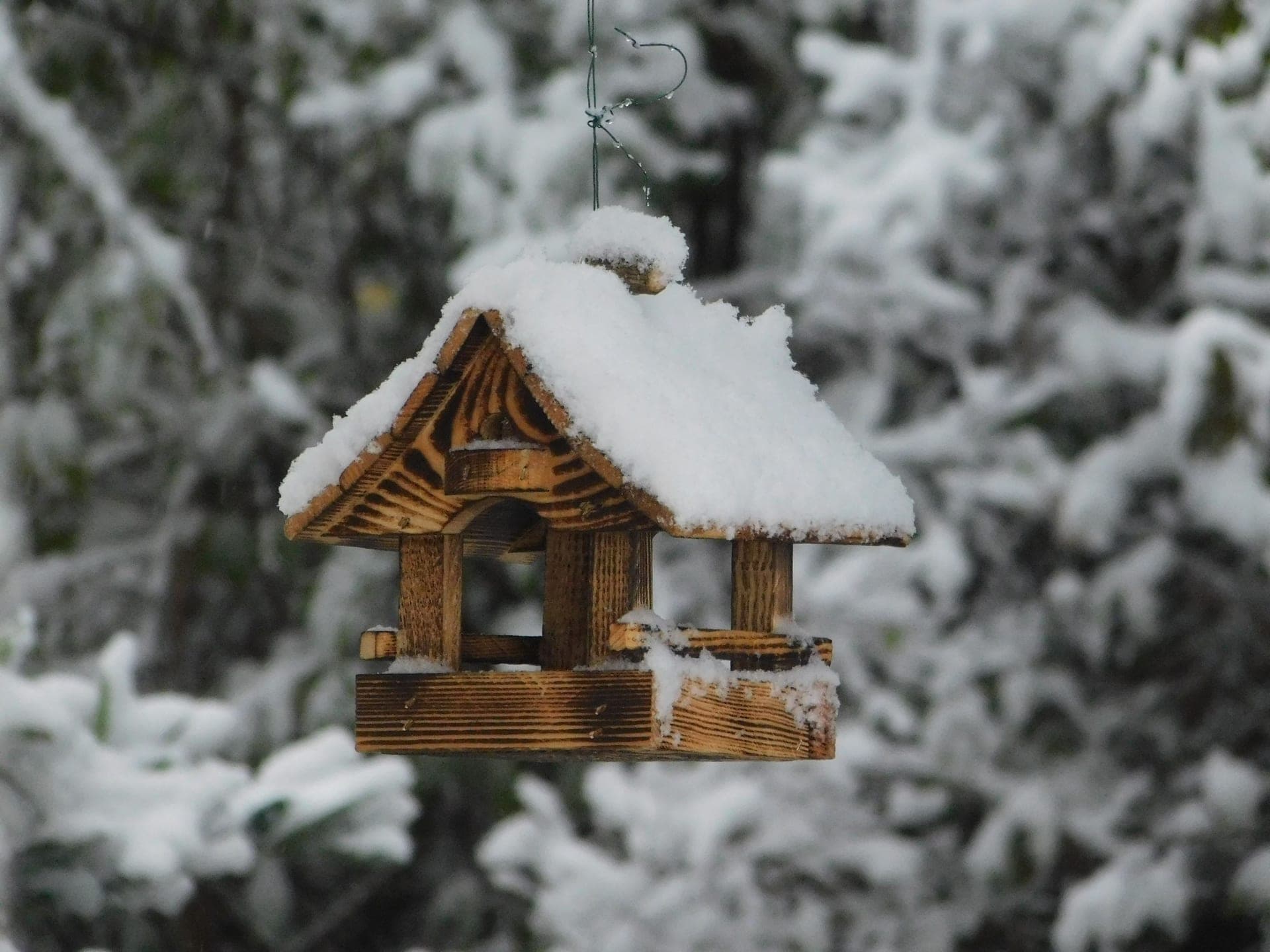 A snow-covered wooden bird house in a winter forest