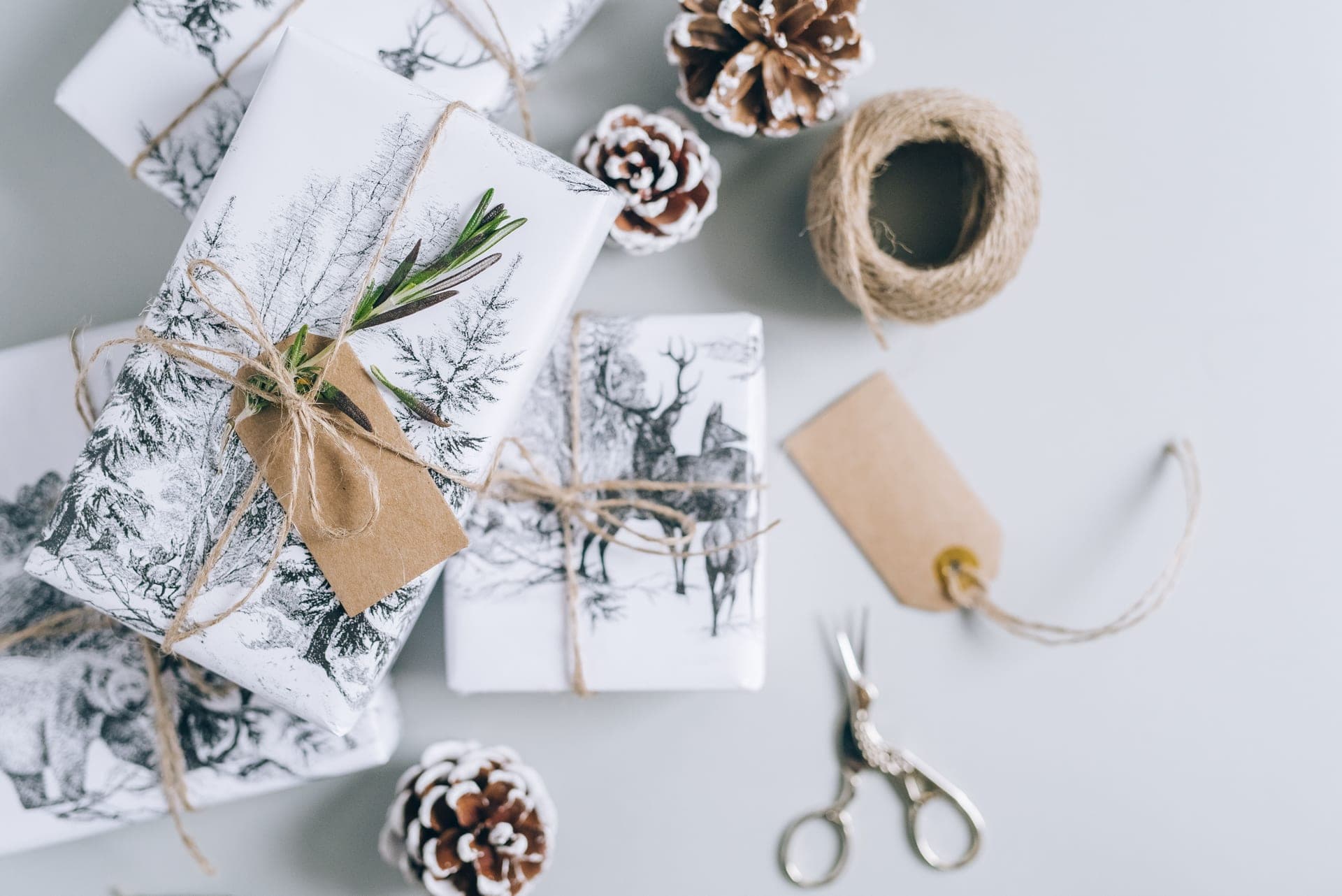 A wrapped gift box with a garden bird theme