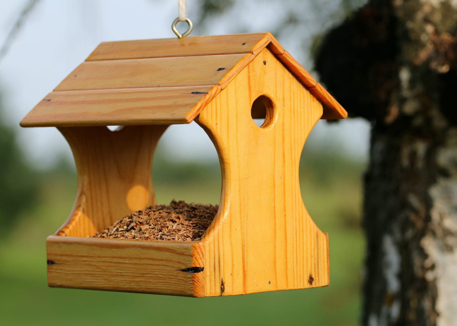 A wooden bird feeder hanging from a tree branch in a garden
