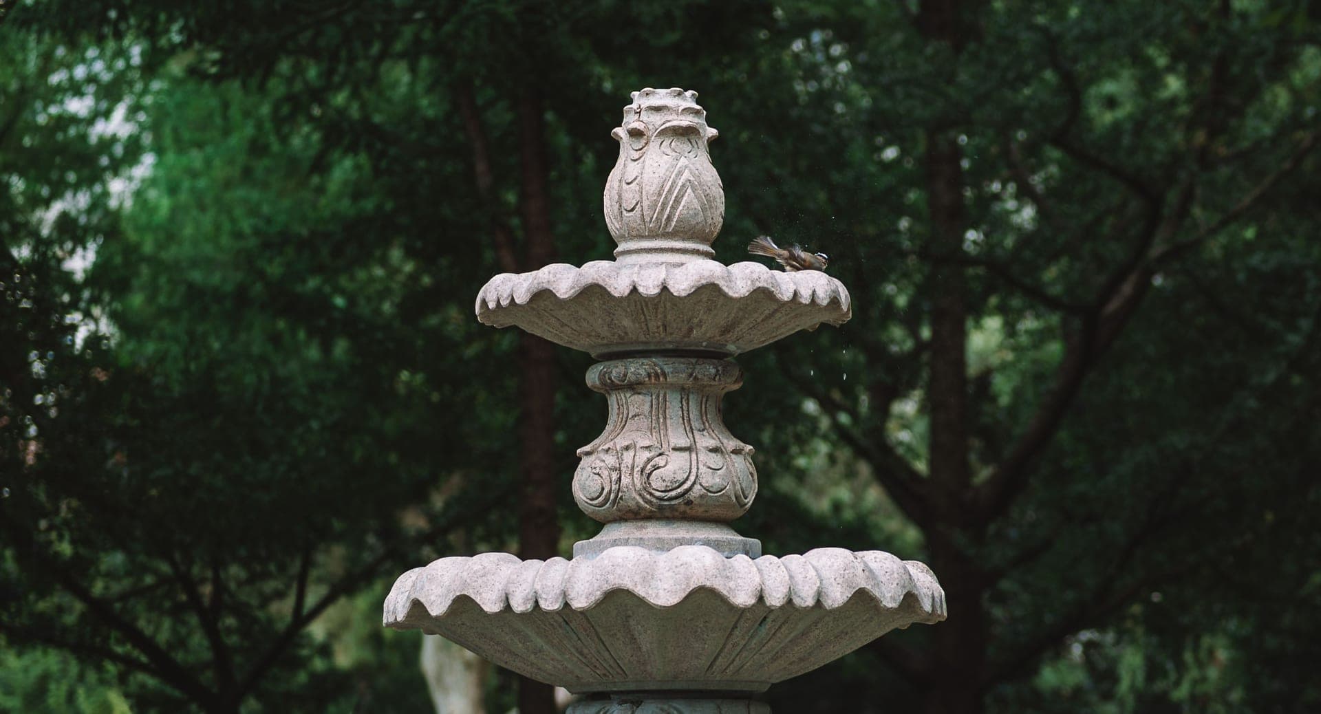 A stone bird bath fountain in a garden