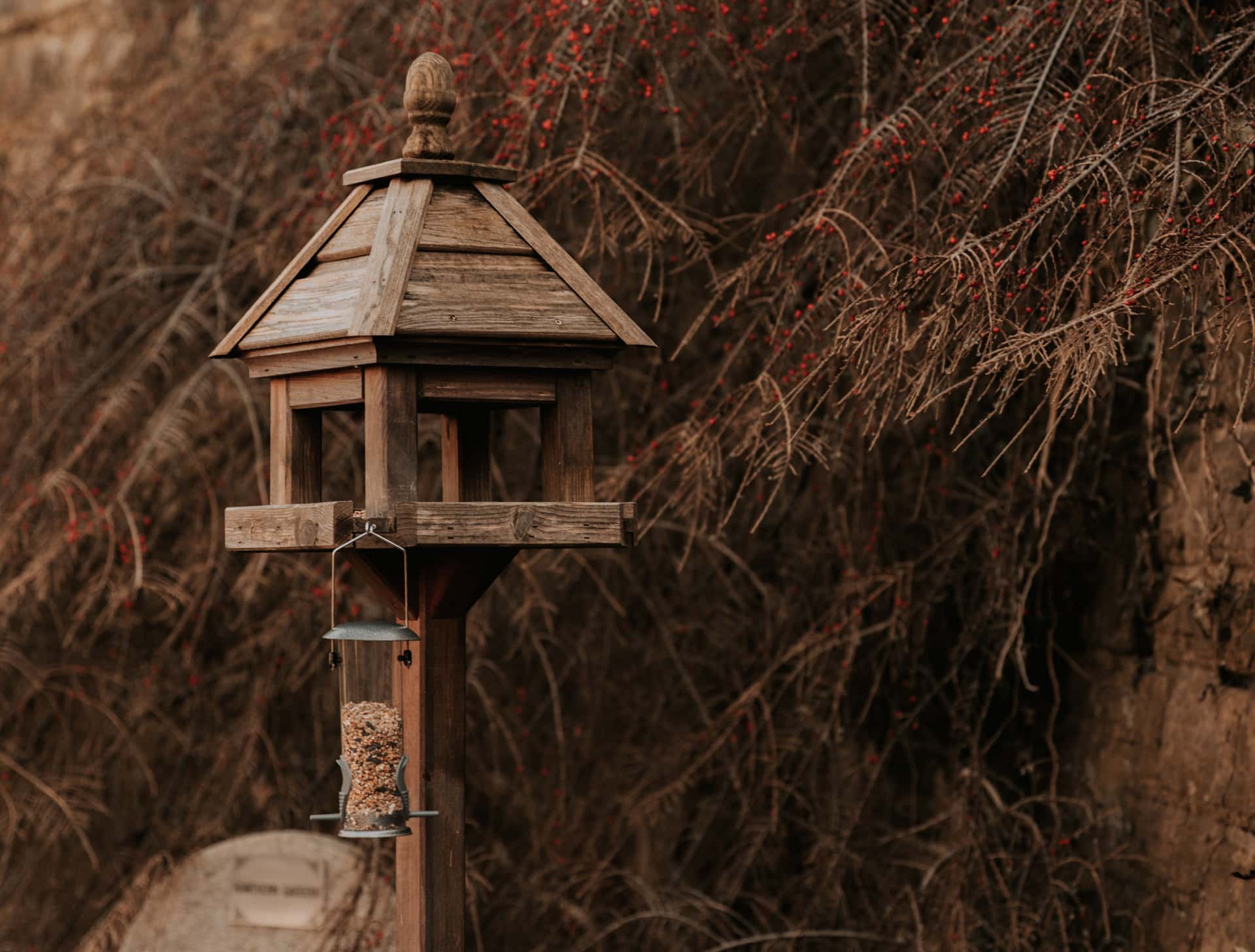 A birdhouse and a bird feeder together in a garden